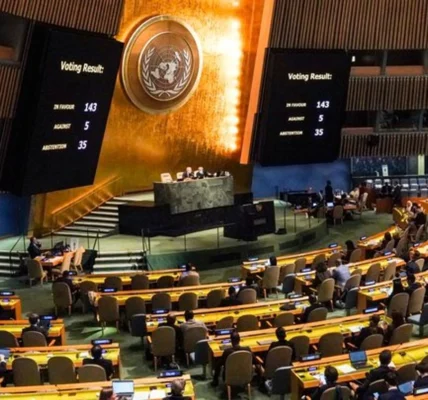 Українські Національні Новини (УНН)