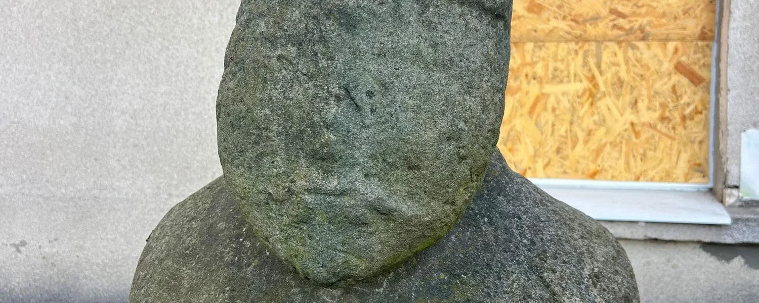 Українські військові евакуювали кам