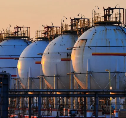 У МЕА заявили про