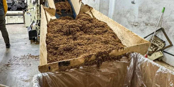 У Чернівцях викрили масштабну підпільну фабрику сигарет з доходом у мільярд на місяць