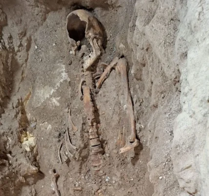 Археологи знайшли останки легендарного д’Артаньяна - ЗМІ