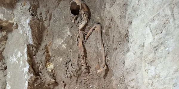 Археологи знайшли останки легендарного д’Артаньяна - ЗМІ