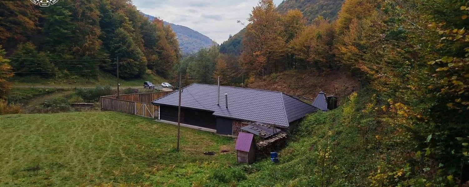 Лісничий на Закарпатті збудував собі маєток на самовільно захопленій ділянці