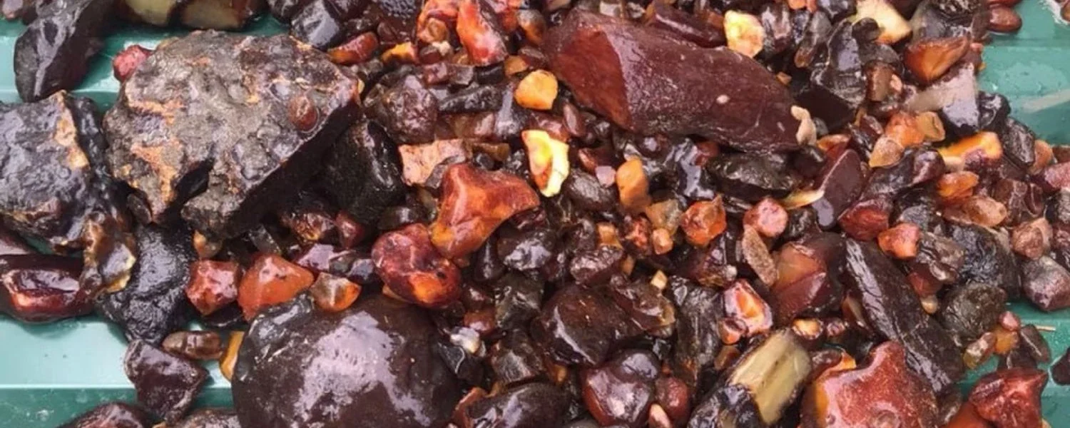 На Рівненщині викрили