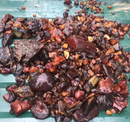 На Рівненщині викрили