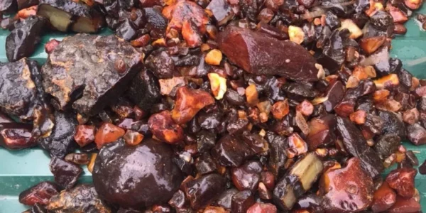 На Рівненщині викрили