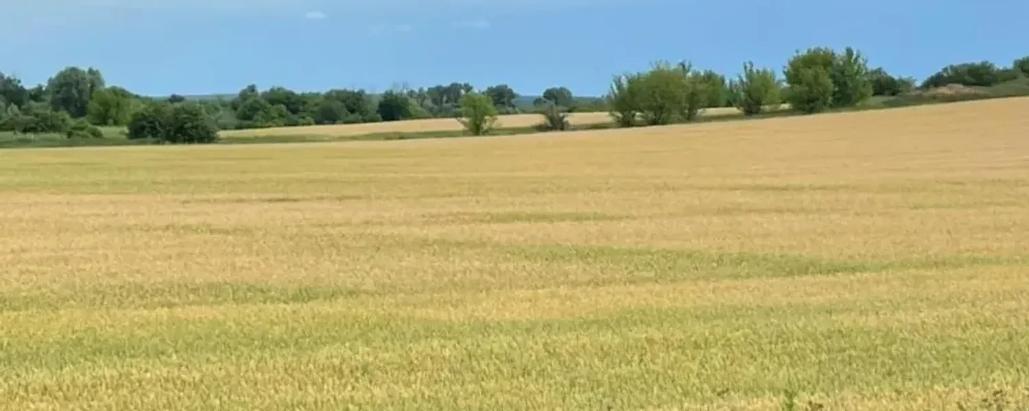 Прокуратура Київщини домоглася повернення тисяч гектарів землі державі