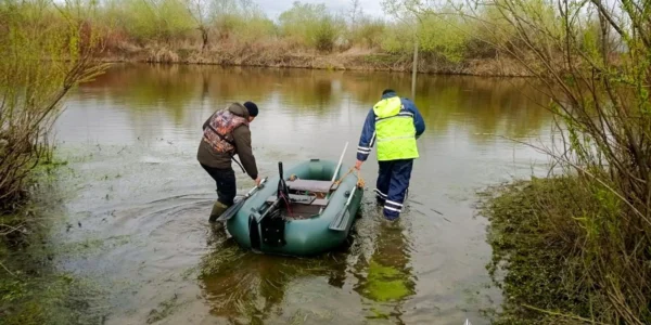На Рівненщині третю добу шукають зниклого 5-річного хлопчика - залучено майже 200 людей