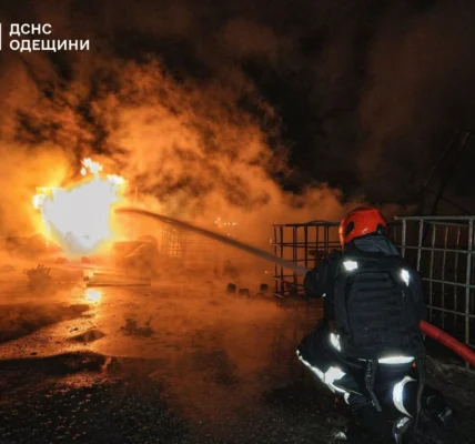 рф атакувала порт Ізмаїла, сталася пожежа в заповіднику