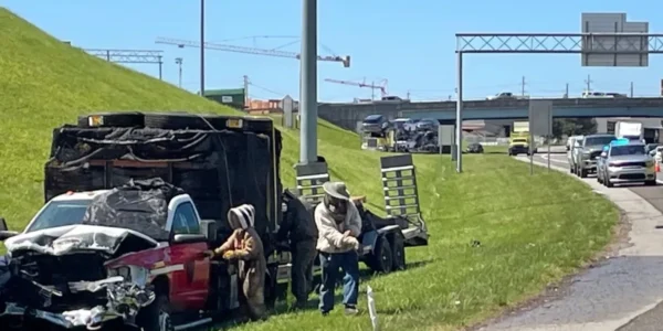 У США мільйон бджіл заблокував з’їзд з автомагістралі після ДТП вантажівки