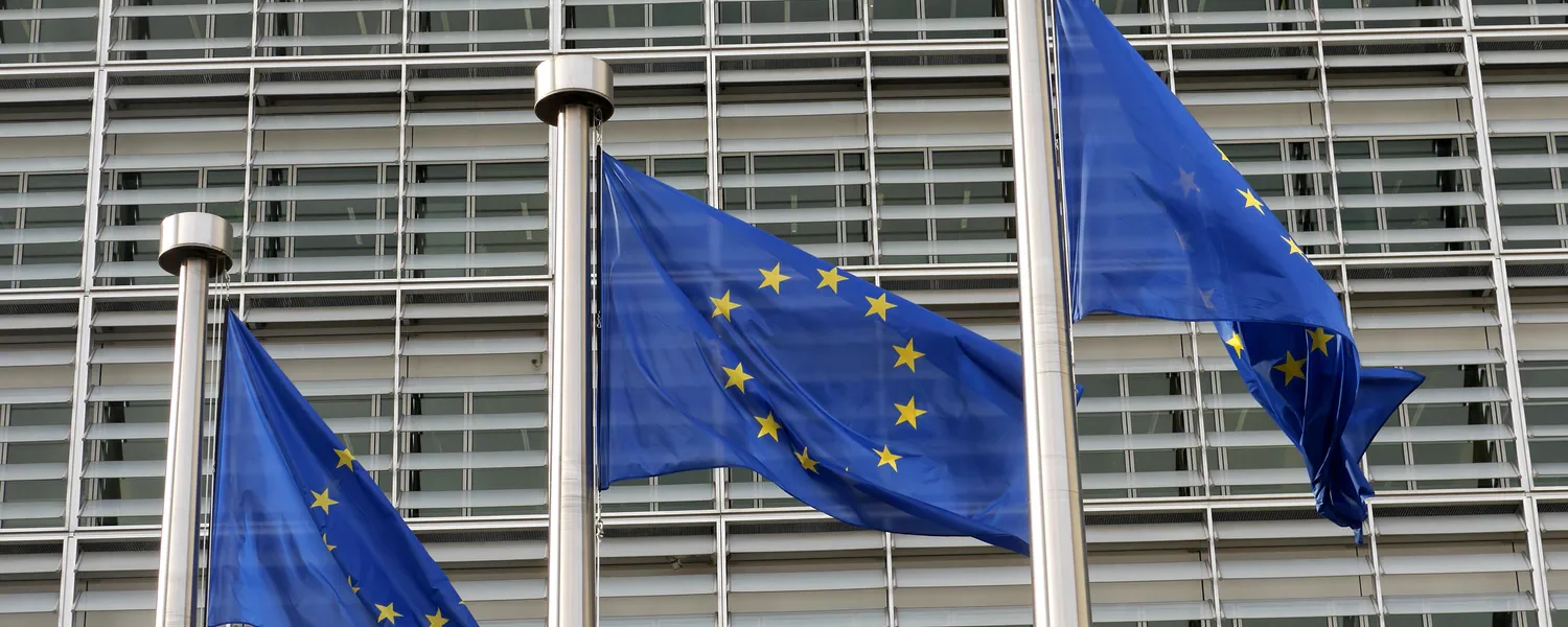ЄС розглядає виключення чоловіків призовного віку з тимчасового захисту для українців - ЗМІ