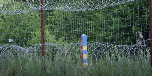 У білорусі заявили, що готові пропускати українців у свої ліси по ягоди та гриби - у ДПСУ кажуть, що не отримували подібних повідомлень