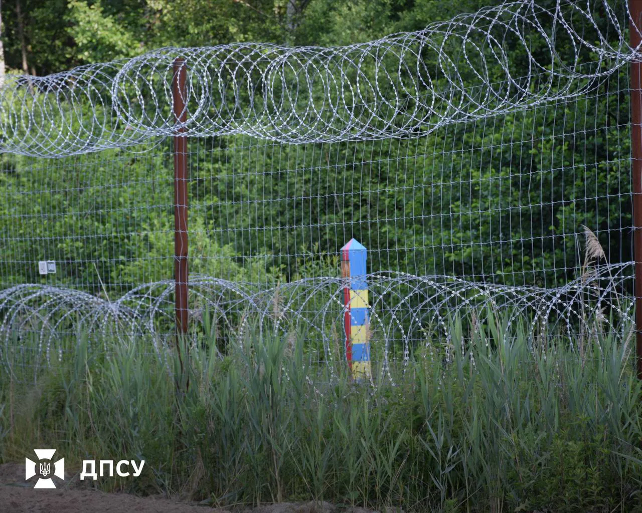 У білорусі заявили, що готові пропускати українців у свої ліси по ягоди та гриби - у ДПСУ кажуть, що не отримували подібних повідомлень